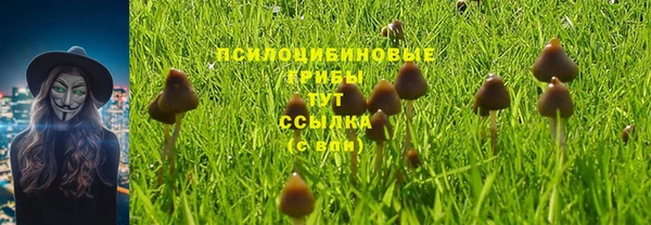 синтетический гашиш Бородино