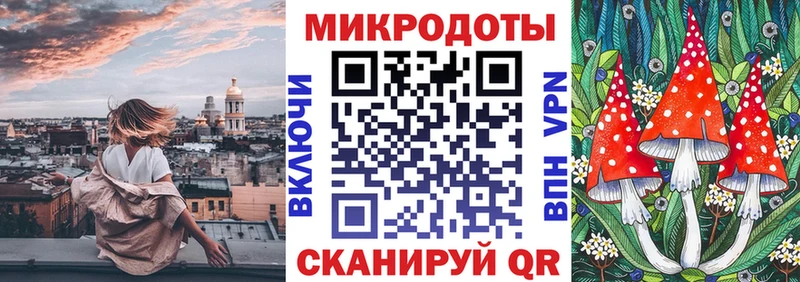 купить   Качканар  Псилоцибиновые грибы GOLDEN TEACHER 