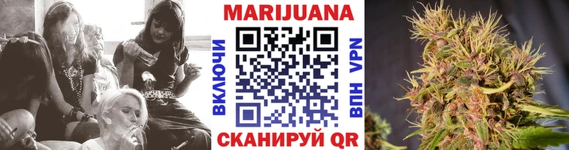 Бошки Шишки планчик  Качканар 